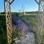 Tagavaelja Talu And Sauna On A Farm B&b, Rural Experience *
