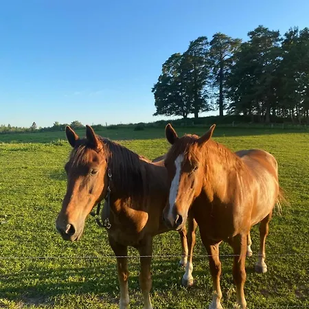 Tagavaelja Talu And Sauna On A Farm B&b, Rural Experience Vakantiehuis