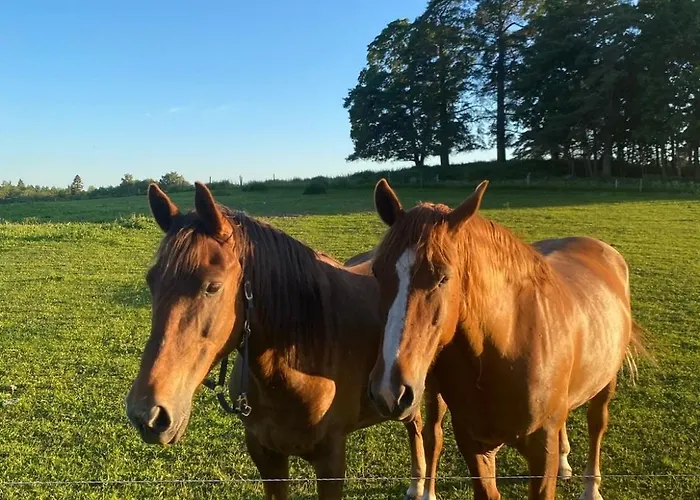 Tagavaelja Talu And Sauna On A Farm B&b, Rural Experience Holiday home