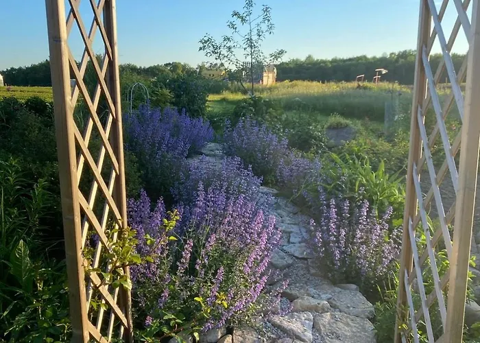 Tagavaelja Talu And Sauna On A Farm B&b, Rural Experience *